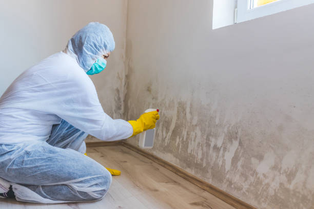 Mold Remediation specialist working in Heathsville