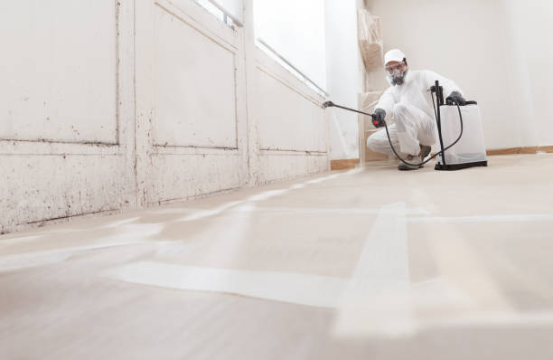 Black mold remediation team in Heathsville