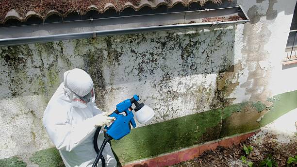 Mold Remediation service in Heathsville, Heathsville, VA